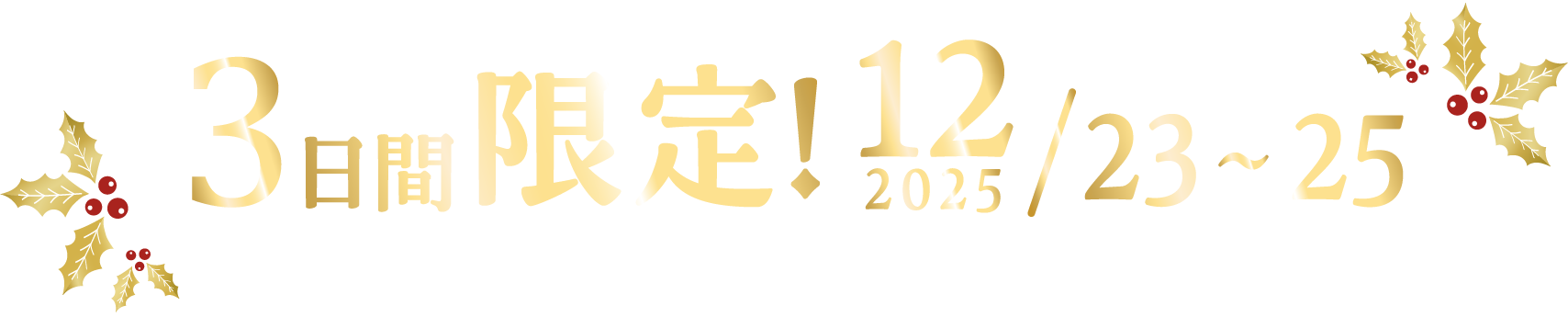3日間限定！202512/23~25
